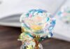 5 Occasions for Which the Galaxy Rose is the Perfect Gift