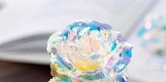 5 Occasions for Which the Galaxy Rose is the Perfect Gift