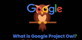 What is Google Project Owl? – Definition, Functions, And More