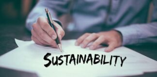 Sustainability: Definition and Why Is It Important with Practical Recommendations